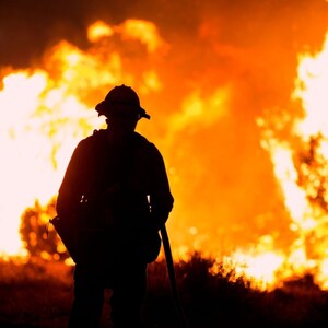 Artmarket.com: Wildfires in Greater Los Angeles, Artprice deplores an inestimable loss for the world's artistic heritage